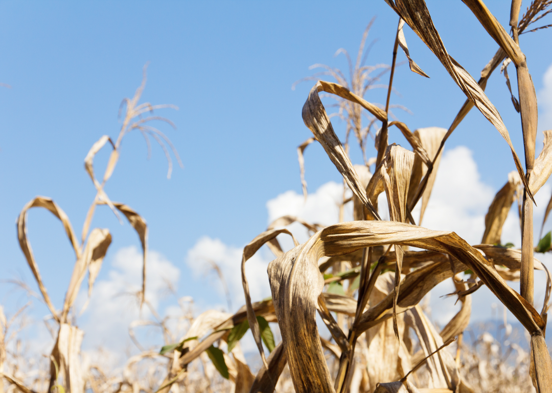History Of Droughts In The U S Stacker